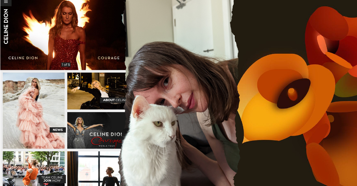 Three photos: a screenshot of Celine Dion's website, a selfie of Laura and a cute white cat, and Laura's CSS art of orange lillies.